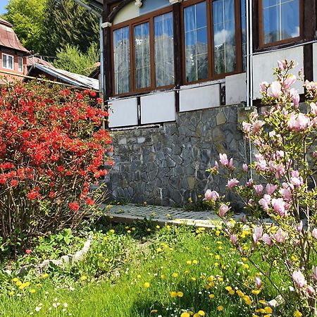 Vila Bradet Buşteni Екстериор снимка