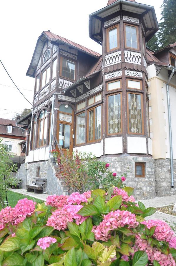 Vila Bradet Buşteni Екстериор снимка