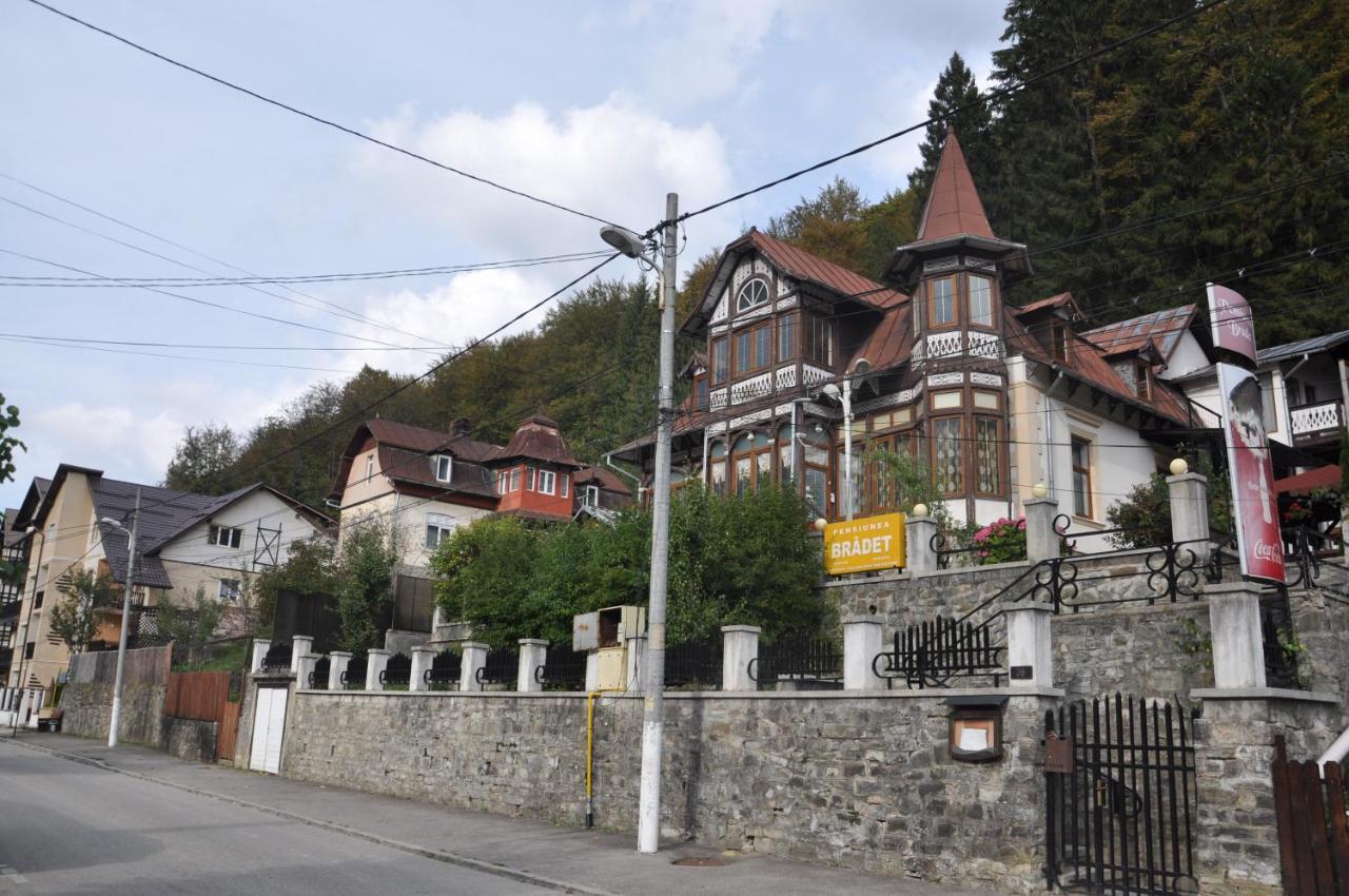 Vila Bradet Buşteni Екстериор снимка