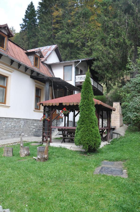 Vila Bradet Buşteni Екстериор снимка