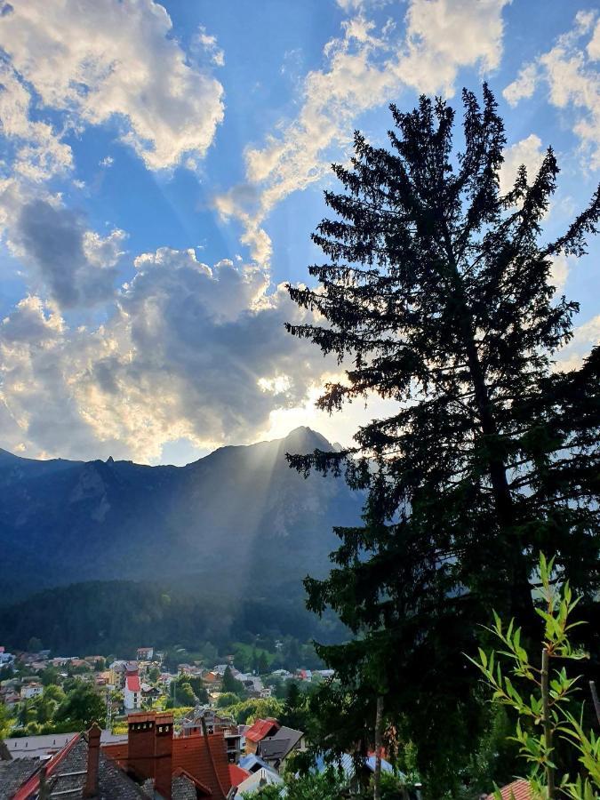 Vila Bradet Buşteni Екстериор снимка