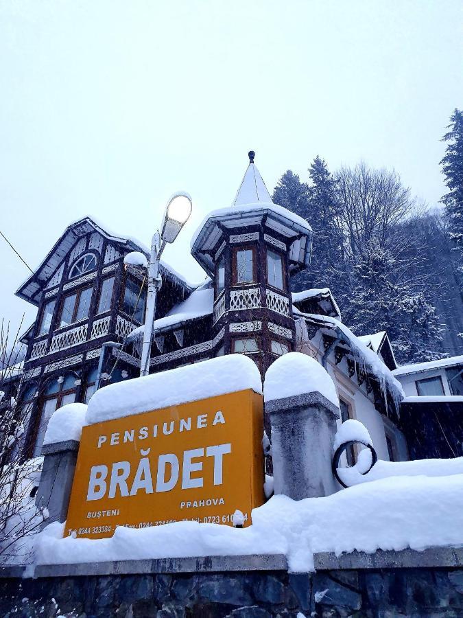 Vila Bradet Buşteni Екстериор снимка
