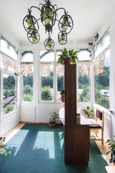 Vila Bradet Buşteni Екстериор снимка